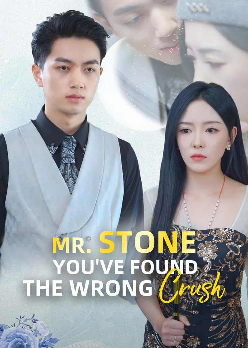 Mr. Stone, You've Found the Wrong Crush cover