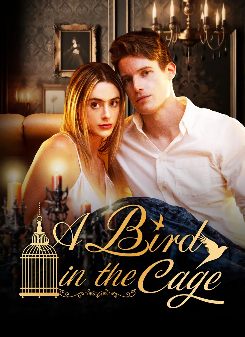 A Bird In The Cage cover
