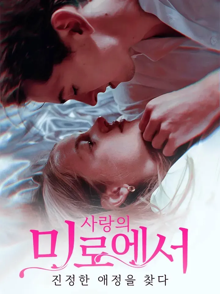 사랑의 미로에서 진정한 애정을 찾다 표지