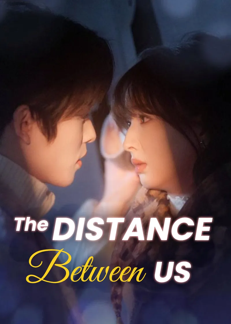 The Distance Between Us cover