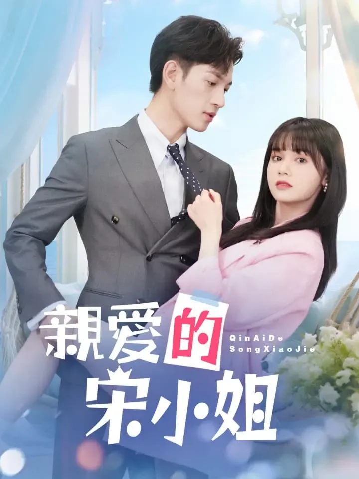 《親愛的宋小姐》封面