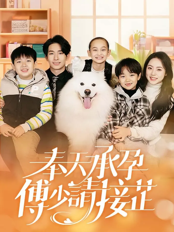 《奉天承孕，傅少請接芷》封面