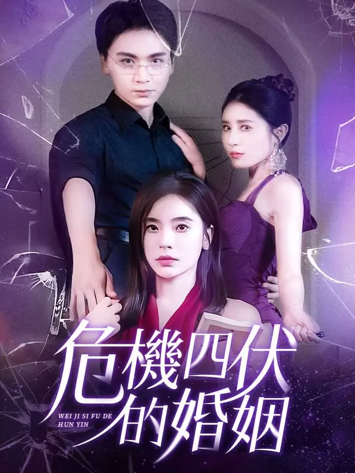 《危機四伏的婚姻》封面