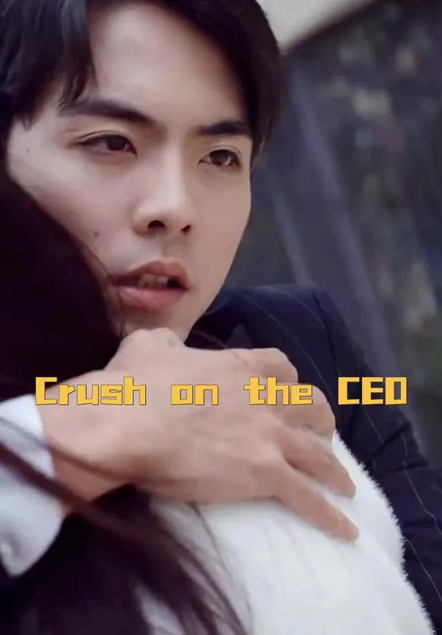 Crush on the CEO cover