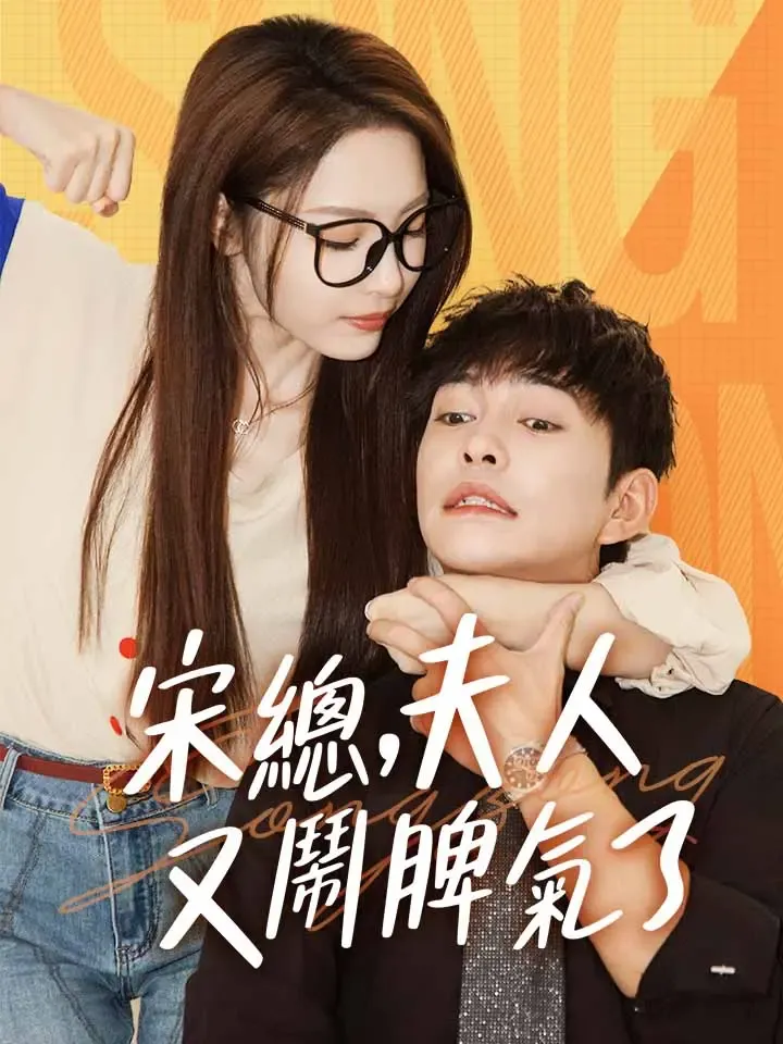 《宋總，夫人又鬧脾氣了》封面