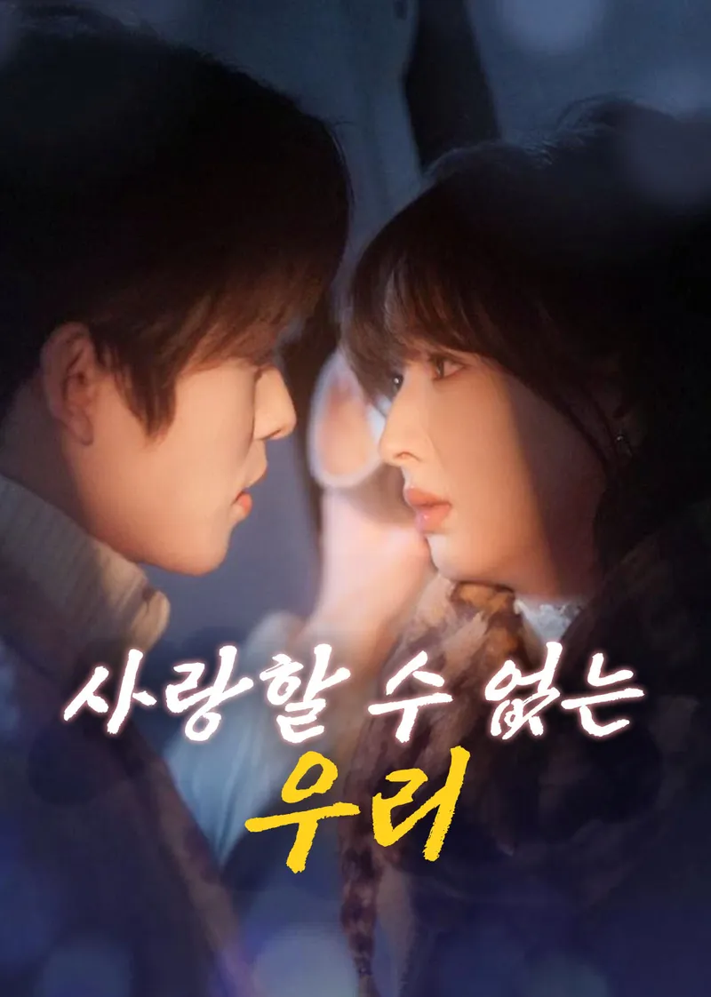 사랑할 수 없는 우리 표지