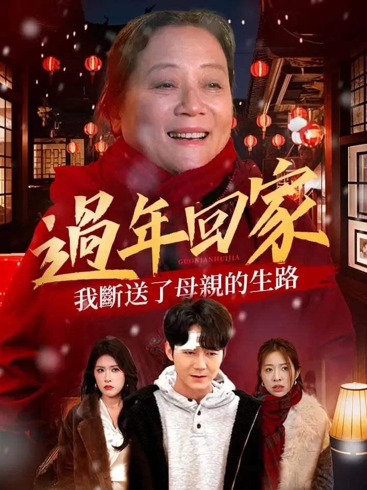 《過年回家我斷送了母親的生路》封面
