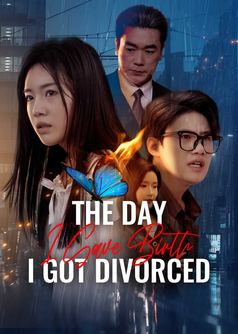 The Day I Gave Birth, I Got Divorced cover