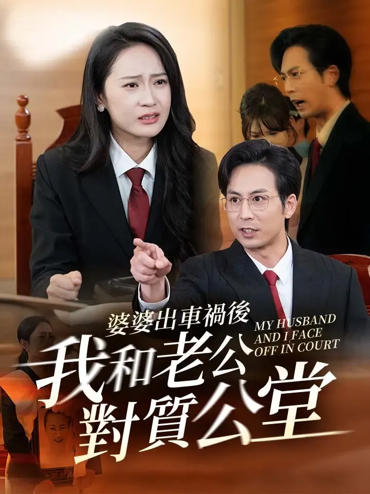 《婆婆出車禍後我和老公對質公堂》封面