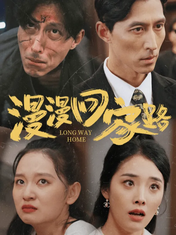 《漫漫回家路》封面