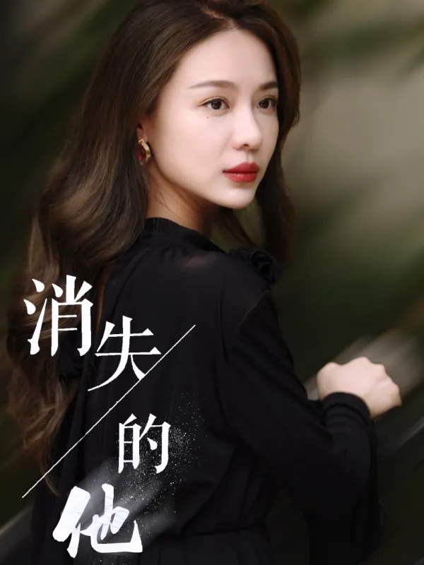 《消失的他》封面