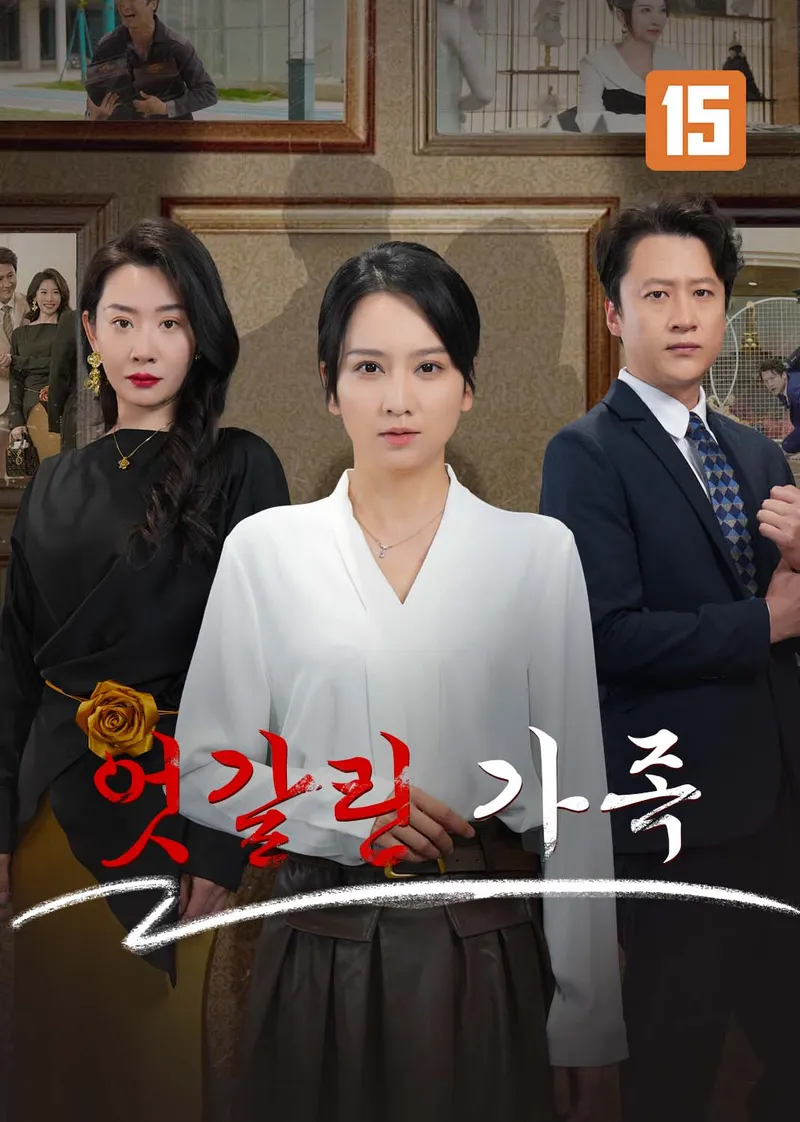 엇갈린 가족 표지