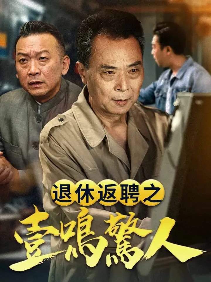 《退休返聘之一鳴驚人》封面