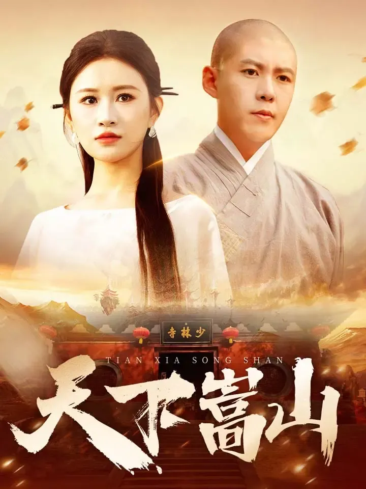 《天下嵩山》封面