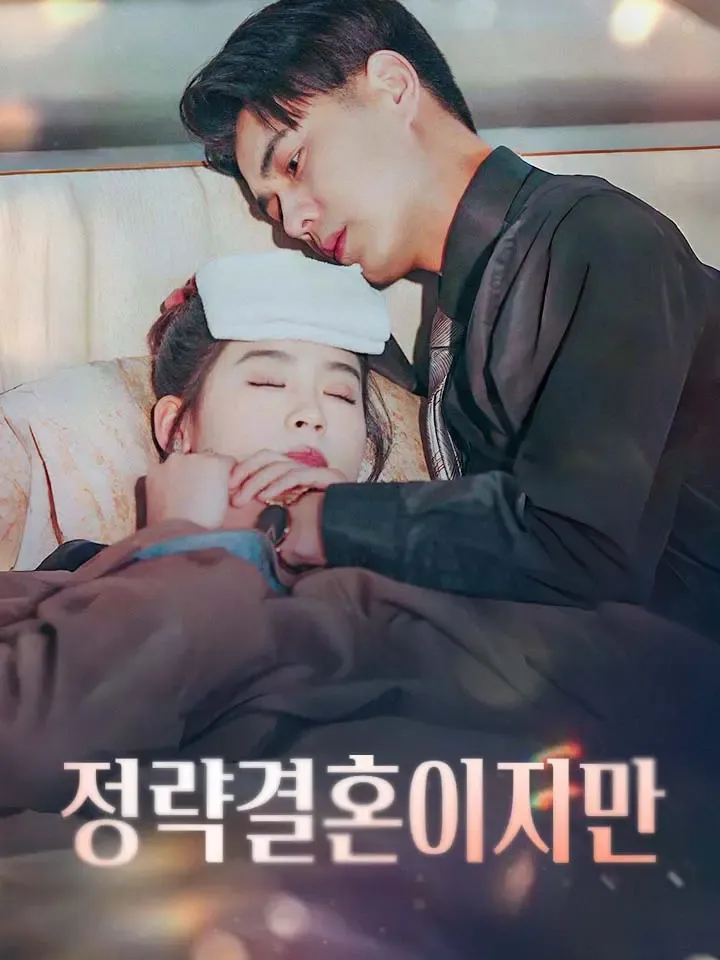 정략결혼이지만 표지