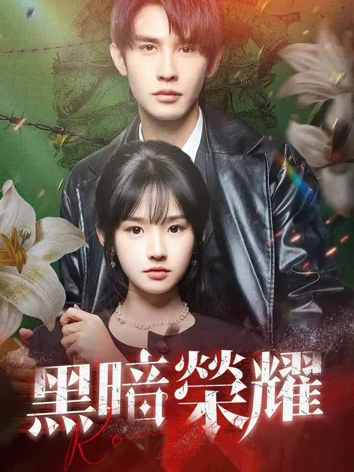 《黑暗荣耀》封面