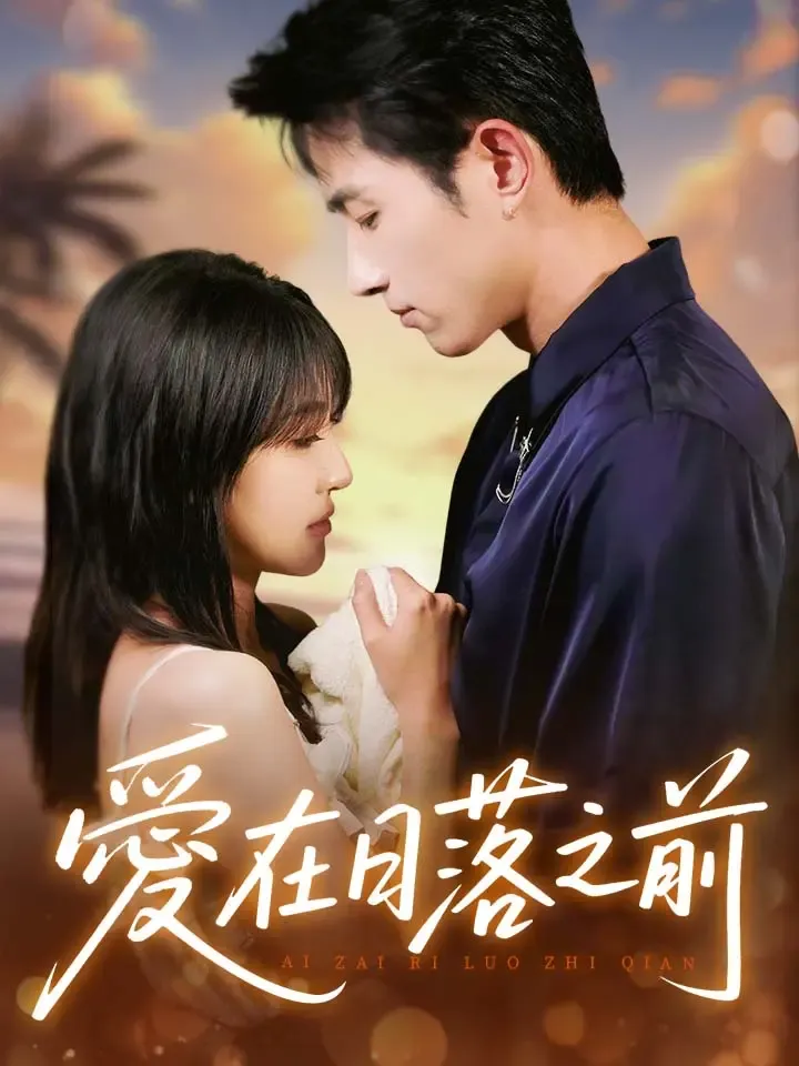 《愛在日落之前》封面