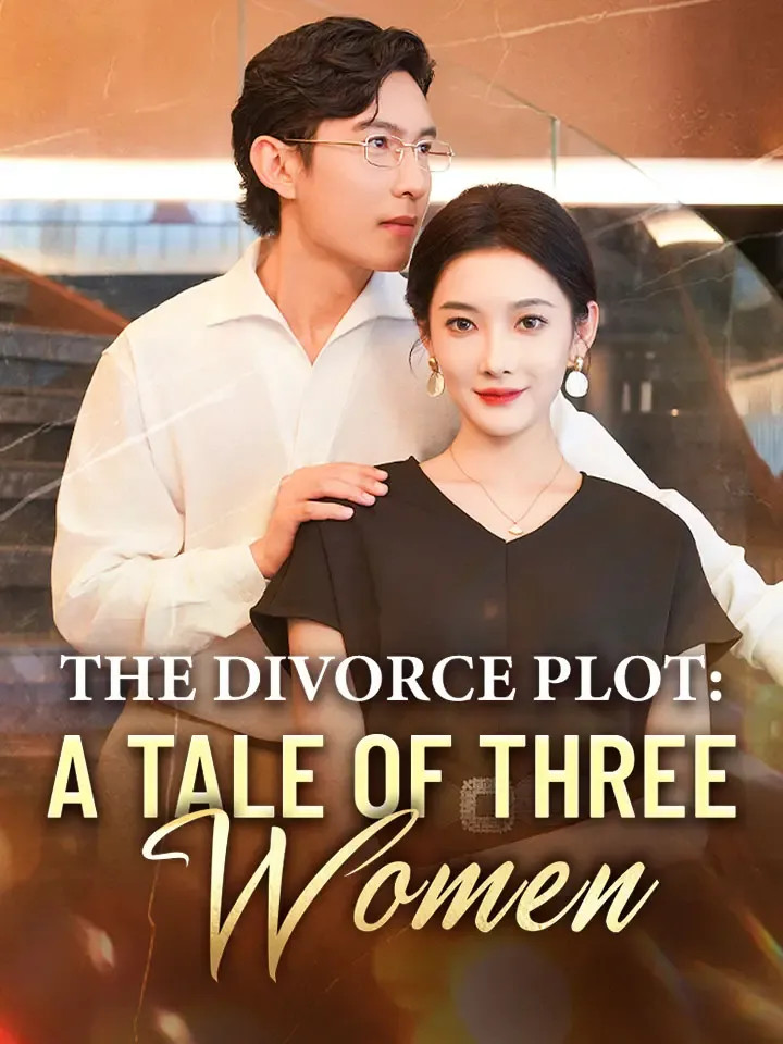 The Divorce Plot: A Tale Of Three Women cover