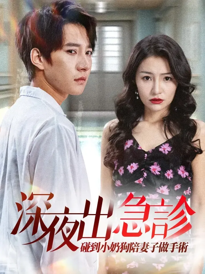 《深夜出急診，碰到小奶狗陪妻子做手術》封面