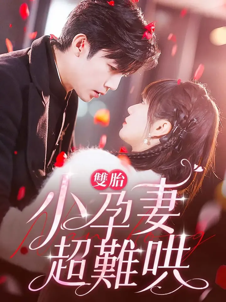 《雙胎小孕妻超難哄》封面
