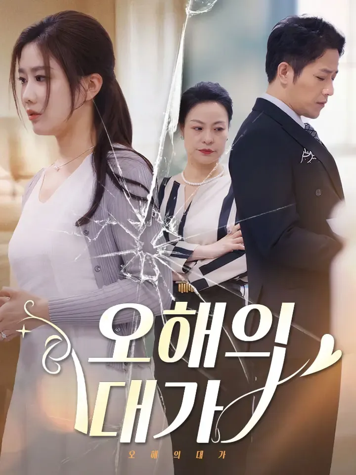 오해의 대가 표지