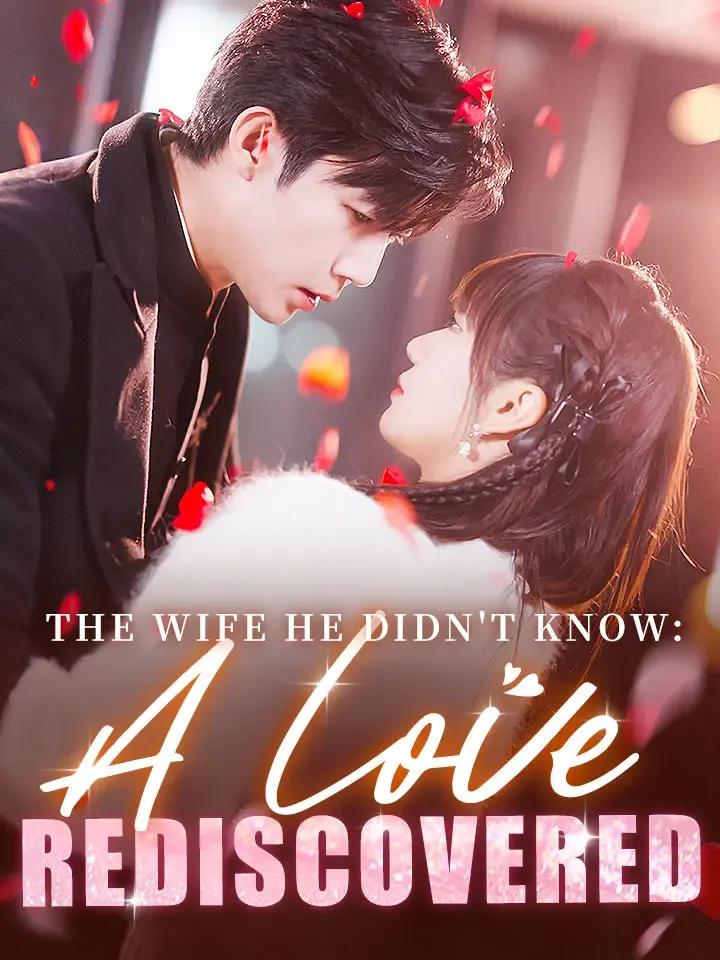 The Wife He Didn't Know: A Love Rediscovered cover