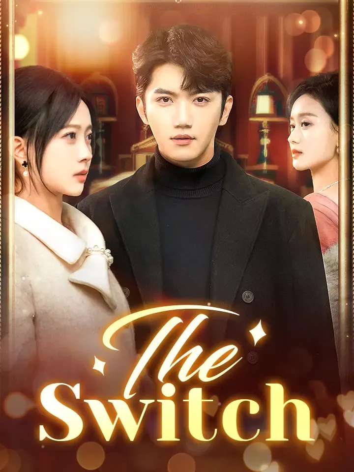 The Switch cover