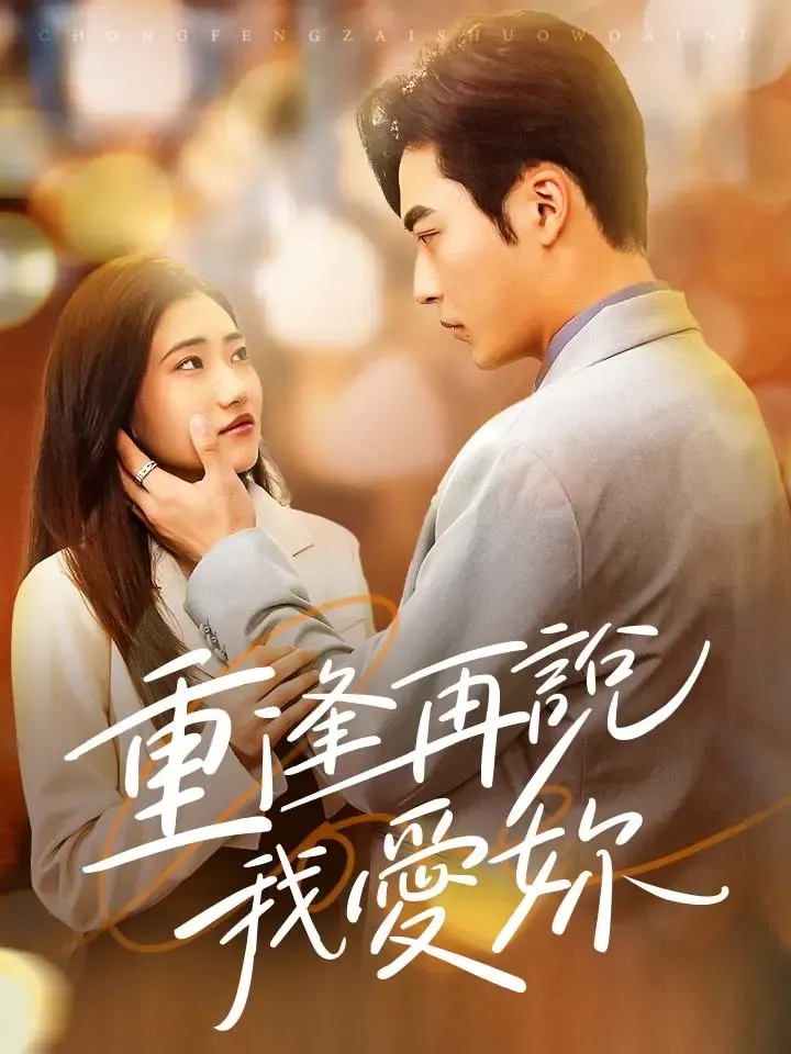 《重逢再說我愛你》封面