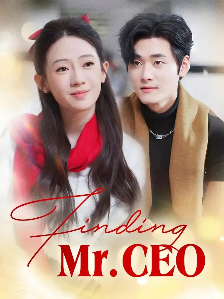 Finding Mr. CEO cover