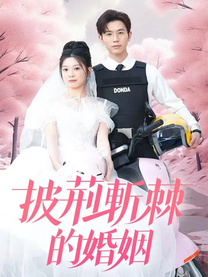 《披荊斬棘的婚姻》封面