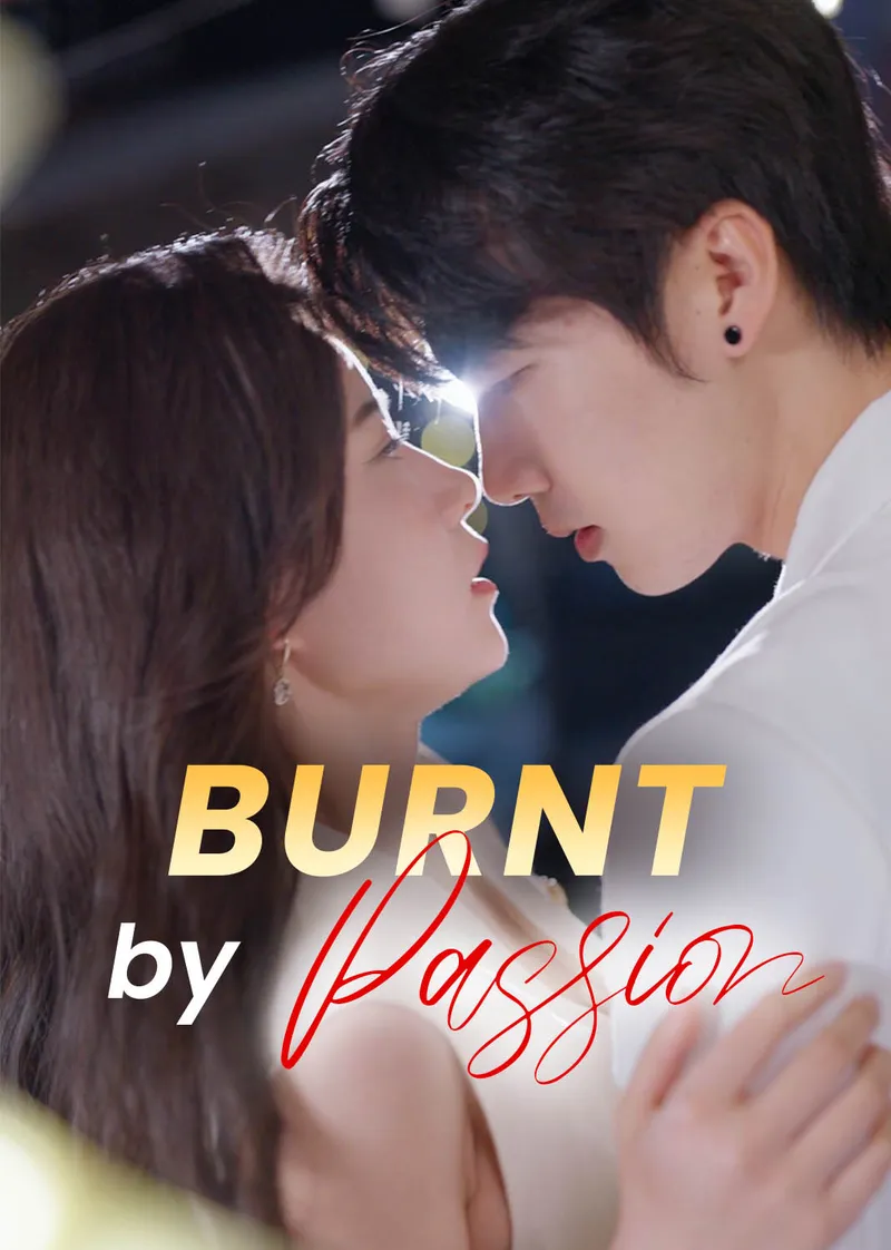 Burnt by Passion cover
