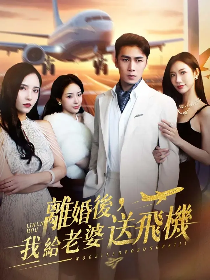 《離婚後，我給老婆送飛機》封面