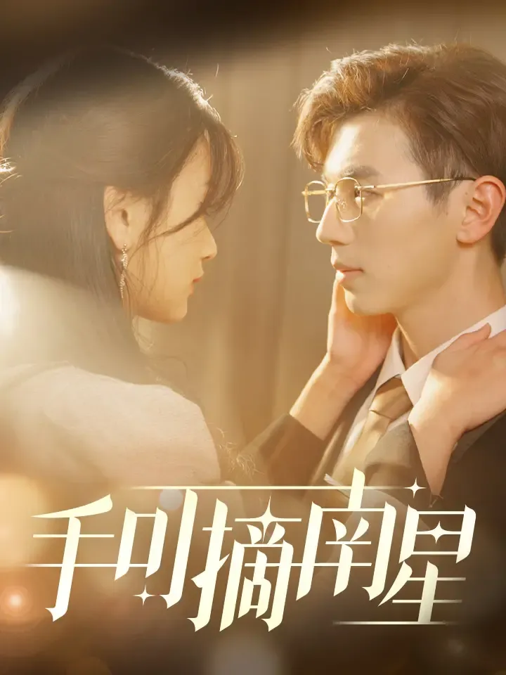 《手可摘南星》封面