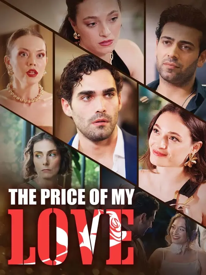 The Price Of  My Love cover