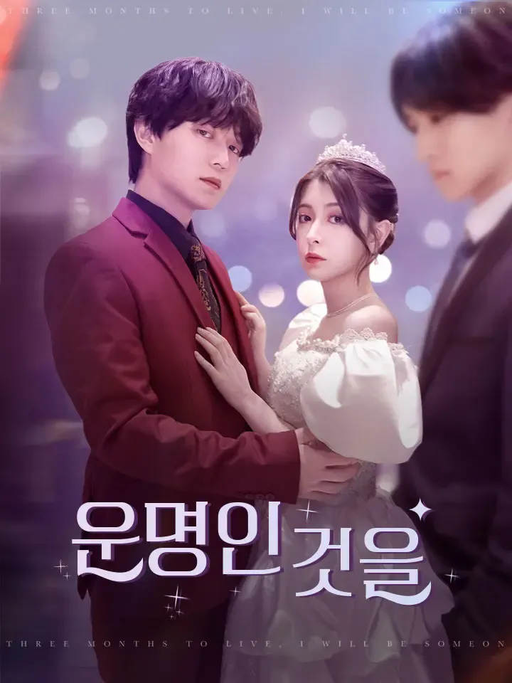 운명인 것을 표지