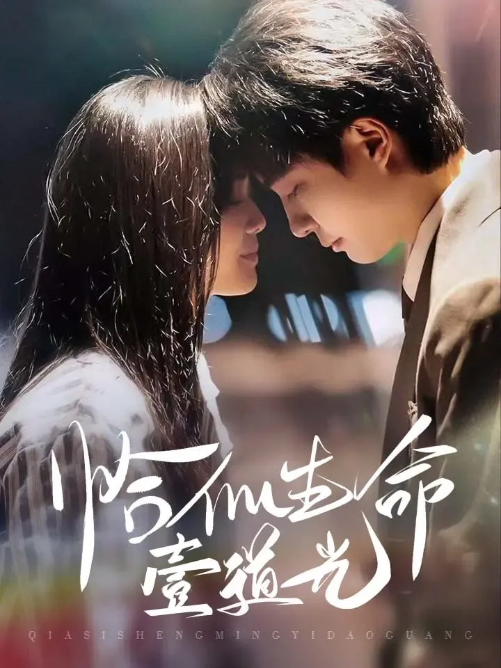 《恰似生命壹道光》封面