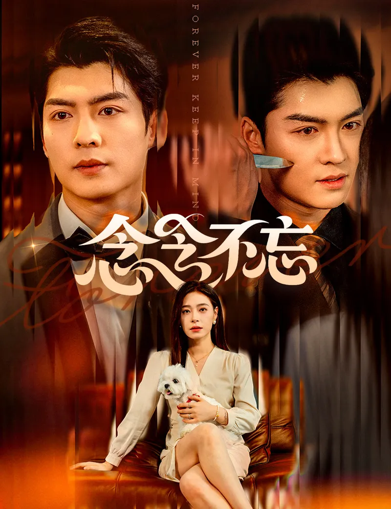 《念念不忘》封面