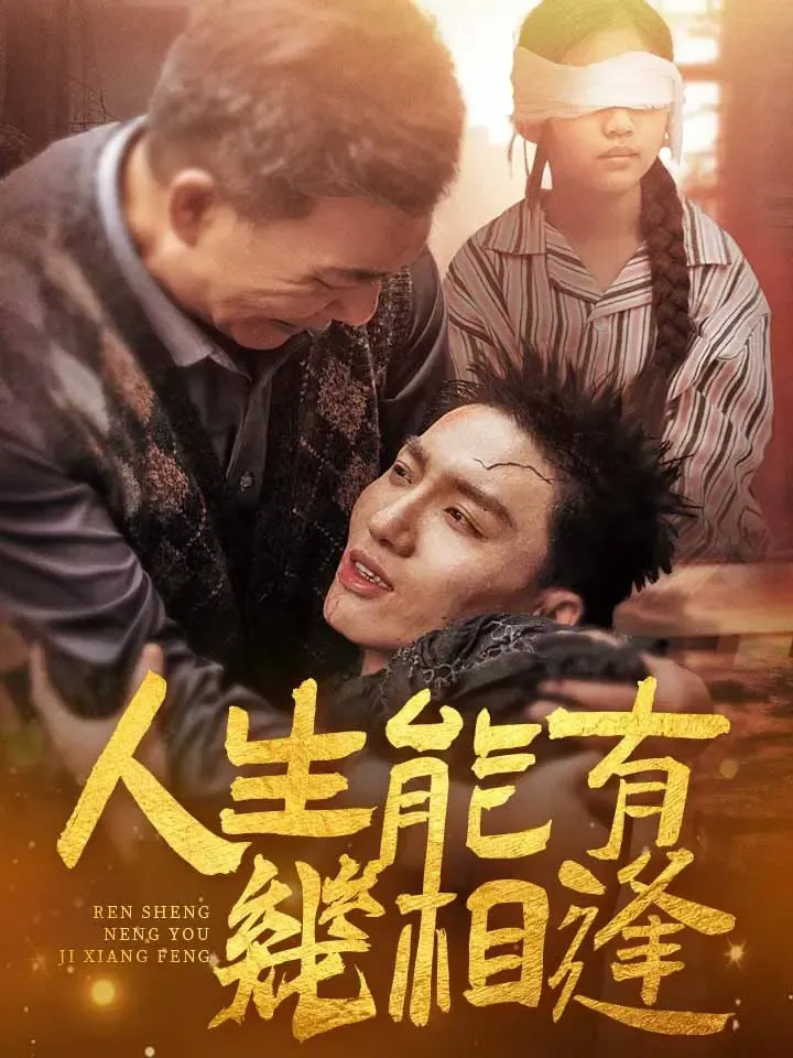 《人生能有幾相逢》封面