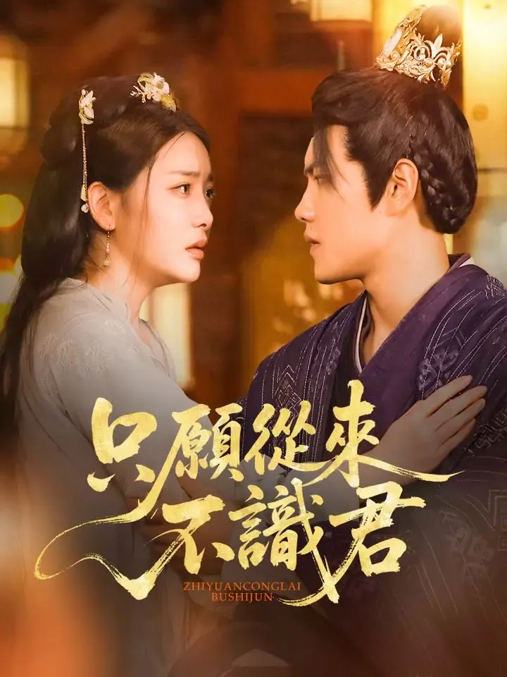 《只願從來不識君》封面