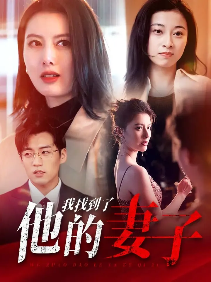 《我找到了他的妻子》封面