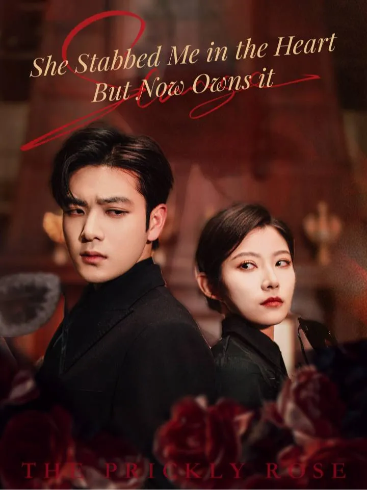 She Stabbed Me in the Heart, But Now Owns it cover