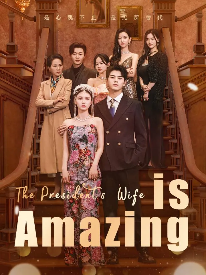 The President's Wife is Amazing cover