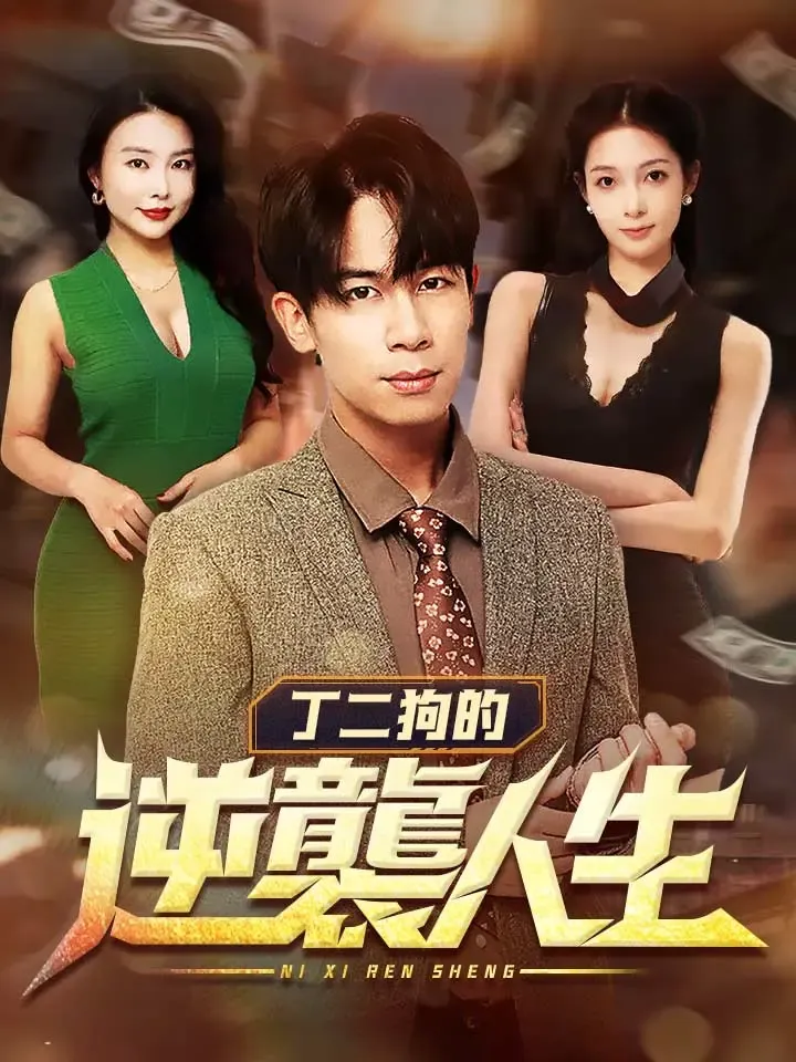 《丁二狗的逆襲人生》封面