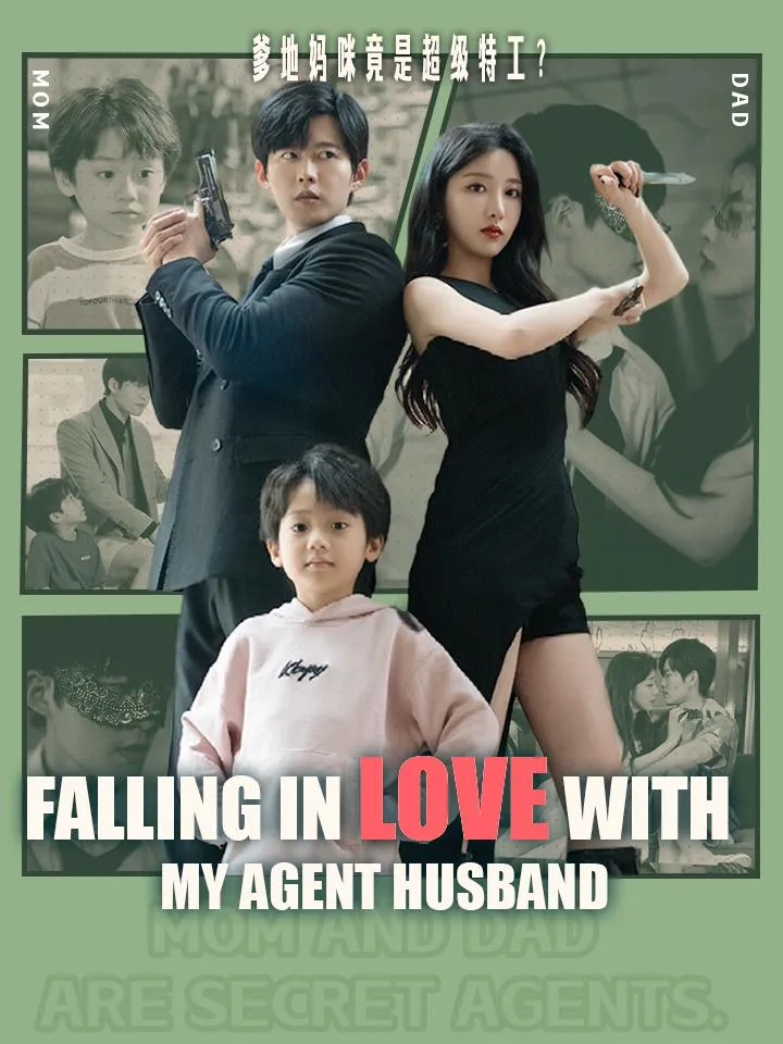 Falling in Love With My Agent Husband cover