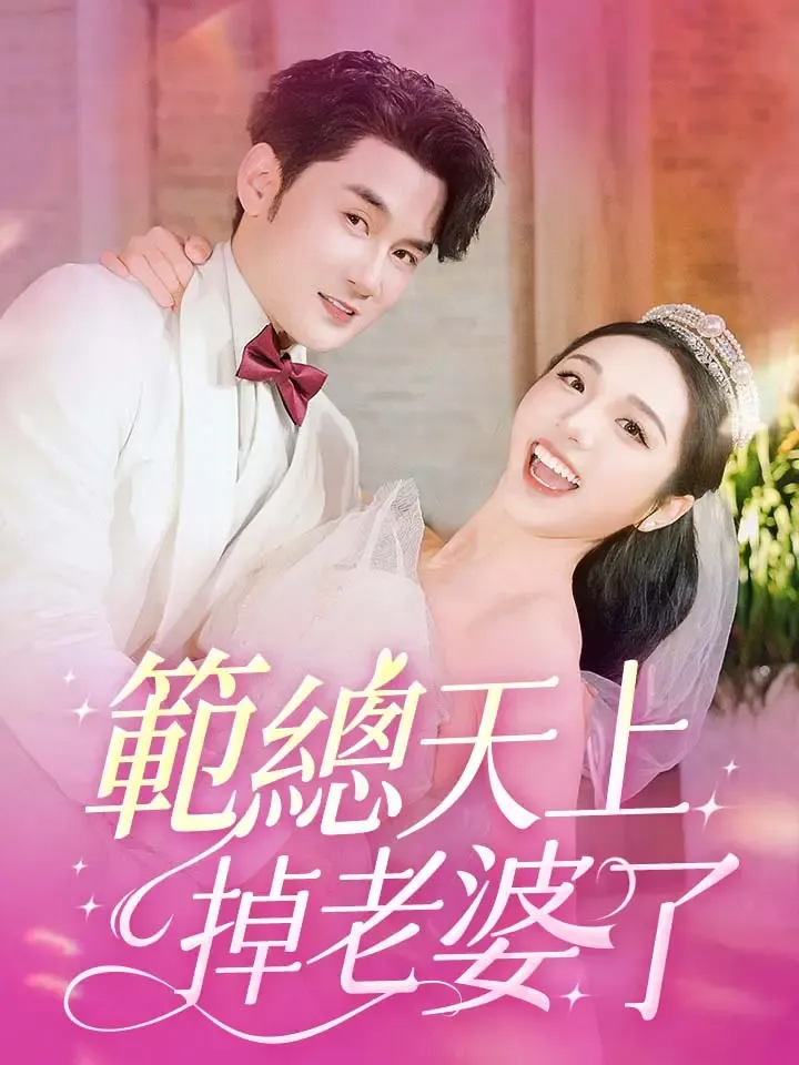 《範總天上掉老婆了》封面