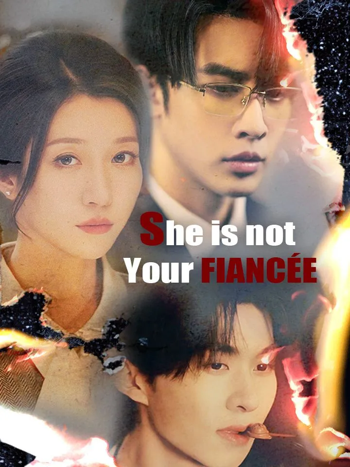 She is not Your Fiancée cover