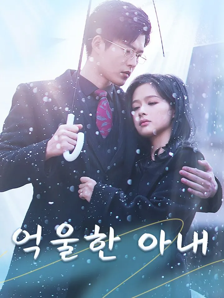 억울한 아내 표지