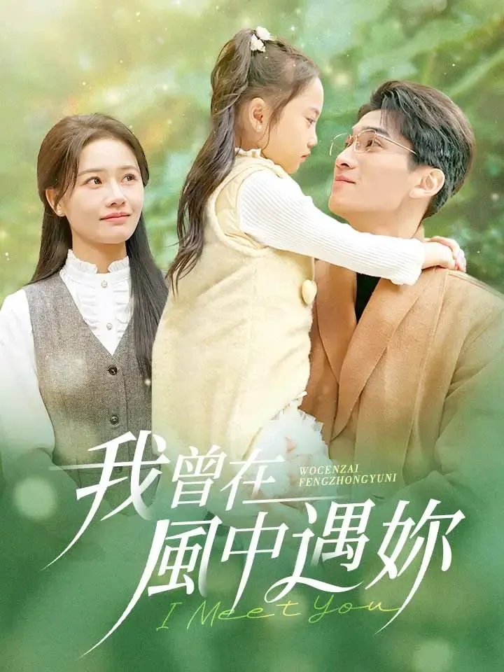 《我曾在風中遇你》封面
