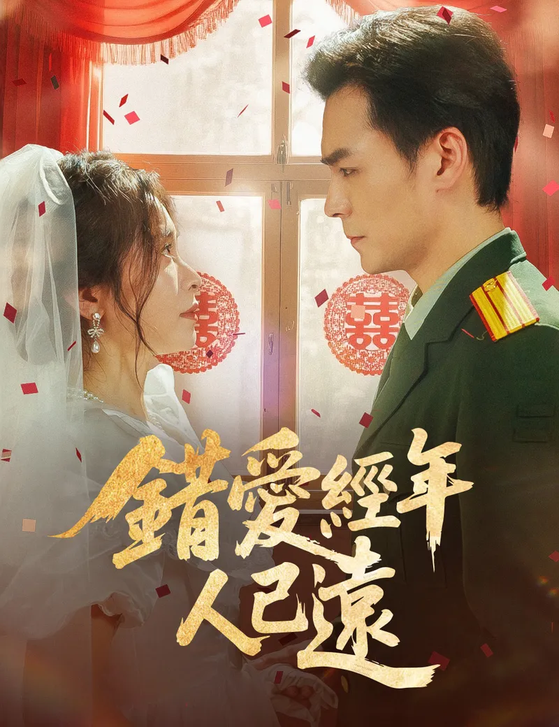 《錯愛經年人已遠》封面