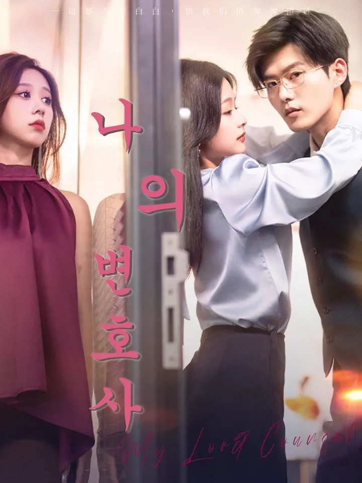 나의 변호사 표지